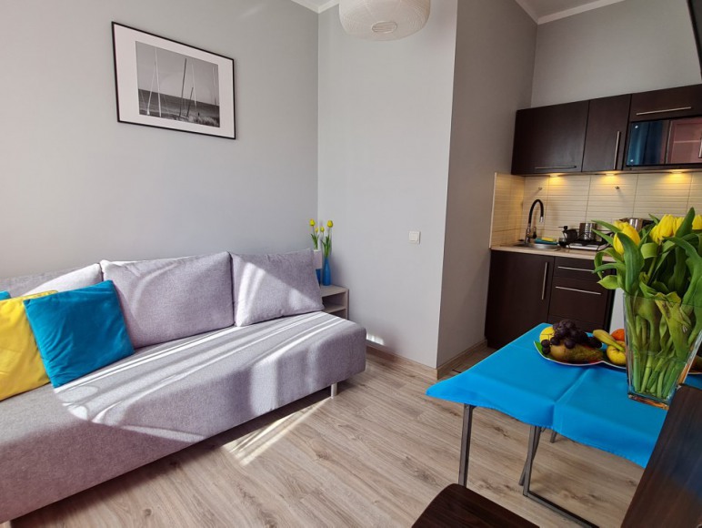 Salon z sofą i aneksem kuchennym